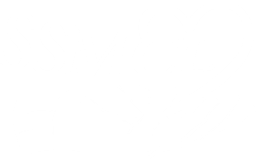 Sociální služby města České Lípy